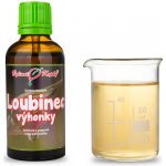 Bylinné kapky Gemmoterapie Loubinec výhonky tinktura z pupenů 50 ml – Hledejceny.cz