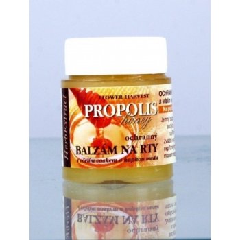 HERB EXTRACT Ochranný balzám na rty - Propolis 25 ml