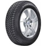 Firestone Winterhawk 205/60 R15 91T – Hledejceny.cz