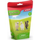 Schleich 42574 Slepičí kamarádky