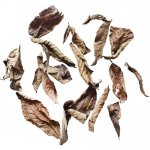 EasyFish Guava leaves 20 g – Zboží Dáma