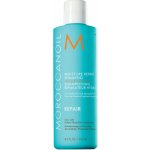 Moroccanoil Moisture Repair Shampoo 250 ml – Hledejceny.cz