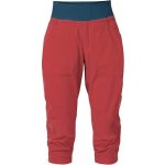 Rafiki TARRAGONA chrysanthemum – Zboží Mobilmania