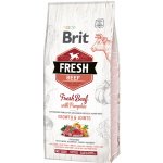 Brit Fresh Beef with Pumpkin Puppy Large 12 kg – Zboží Mobilmania