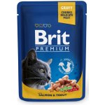Brit Premium Cat Salmon & Trout 100 g – Sleviste.cz