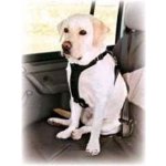 Trixie Postroj pes Bezpečnostní do auta – Hledejceny.cz