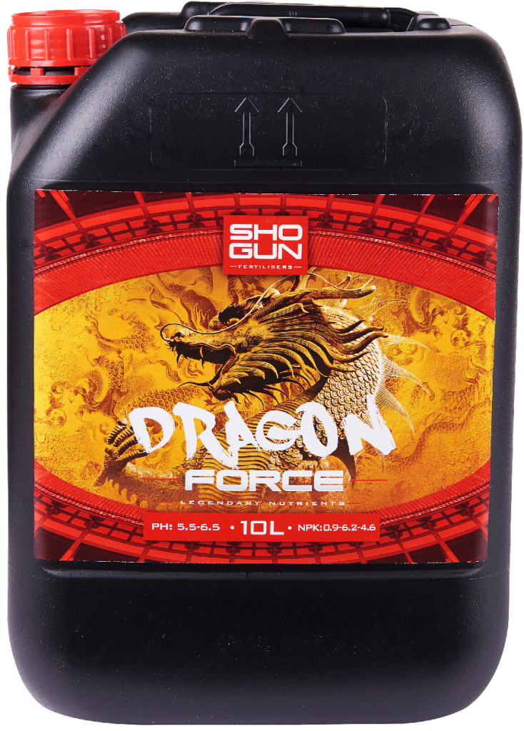 Shogun Dragon Force 10 l