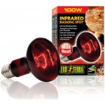 Hagen Exo Terra Infrared Heat Glo 100 W – Zboží Dáma