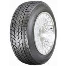 Landsail Winter Lander 185/65 R15 88T