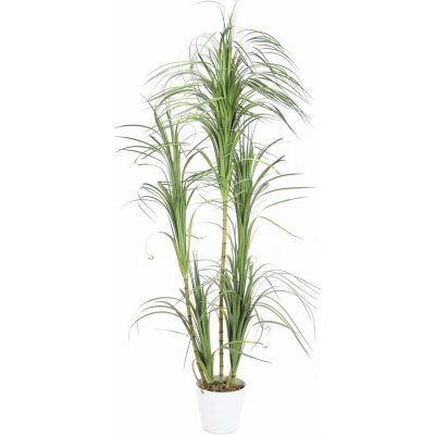 Umělá palma Dracena v květináči, 215cm – Zboží Mobilmania