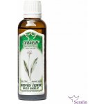 Serafin tinktura z bylin Medvědí česnek Wild garlic 50 ml – Hledejceny.cz