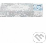 Biogena Magická zima vánoční kazeta čajů 4 x 12 ks – Hledejceny.cz