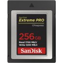 paměťová karta SanDisk SDC 256G SDCFE-256G-GN4NN