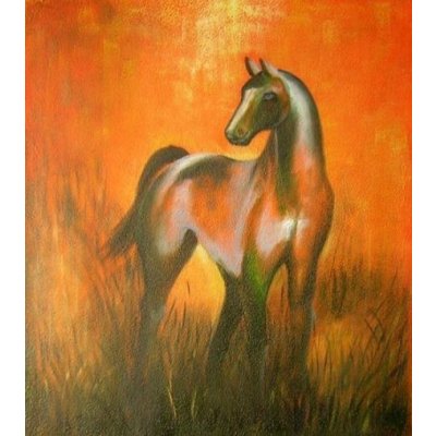 Obraz - Kůň př západu slunce 120 cm x 100 cm – Zboží Mobilmania