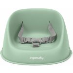 Ingenuity Podsedák na židličku My Spot Green 6m+ do 15kg – Zboží Dáma