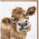 Přání Wrendale Designs "Mooooo", 15x15 cm - Kráva – Zbozi.Blesk.cz