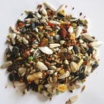 Apetit Extra Mix Střední a velký papoušek 0,8 kg – Zboží Dáma