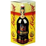 Svijany Svijanský Kvasničák 13° 6% 1 l (sklo) – Sleviste.cz