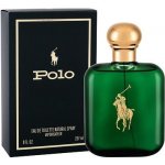 Ralph Lauren Polo Green toaletní voda pánská 236 ml – Hledejceny.cz