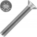 Šroub ISO 14581 nerez A2 M4x12 Torx