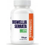 STILLMASS Boswellia serrata 120 kapslí – Hledejceny.cz