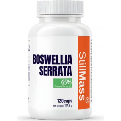 STILLMASS Boswellia serrata 120 kapslí – Hledejceny.cz
