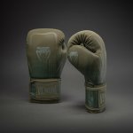 Venum Boxerské rukavice – Zboží Mobilmania