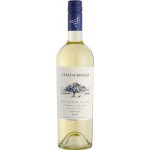 Casa Del Bosque Reserva Sauvignon Blanc 2024 13,8% 0,75 l (holá láhev) – Hledejceny.cz