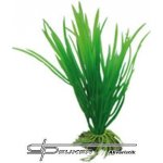 Hobby Cyperus 16 cm – Sleviste.cz