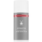 Mühle Aloe Vera balzám po holení 100 ml – Zboží Dáma