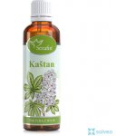 Serafin tinktura z bylin Kaštan Chestnut 50 ml – Hledejceny.cz