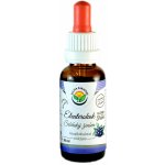 Salvia Paradise Eleuterokok tinktura 30 ml – Hledejceny.cz