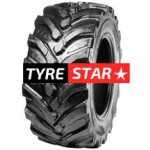 Alliance Forestar 668 III 710/55-34 167D TL – Zboží Mobilmania