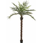 Kentia palma Deluxe 300cm – Hledejceny.cz