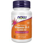 Now Vitamin D3 4000 IU x 240 softgel kapslí – Hledejceny.cz