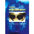 Řezy mozkem, Anatomické, , mikroskopické a magnetické