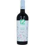 Varvaglione 12 e Mezzo Primitivo di Puglia BIO IGP 12,5% 0,75 l (holá láhev) – Hledejceny.cz