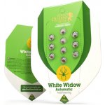 Royal Queen Seeds White Widow Automatic semena neobsahují THC 5 ks – Sleviste.cz