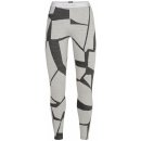 ICEBREAKER Wmns 250 Vertex Leggings Landscapes, Snow/J