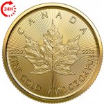 Royal Canadian Mint Maple Leaf zlatá mince 1/10 oz – Zbozi.Blesk.cz