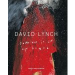 David Lynch - Someone Is In My House franCais /franCais – Hledejceny.cz