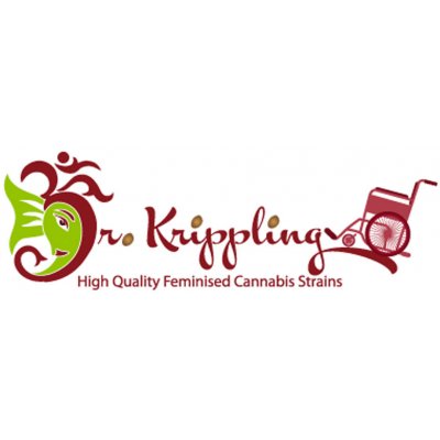 Dr. Krippling Seeds Shark Infested Custard semena neobsahují THC 5 ks – Hledejceny.cz