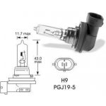 Osram 64213 H9 PGJ19-5 12V 65W | Zboží Auto