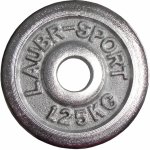 KUBISPORT CWCH1/25K Kotouč chromový 1,25 kg 25 mm – Hledejceny.cz