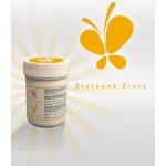 Vola colori Gelová barva žloutkově žlutá 30 g – Sleviste.cz