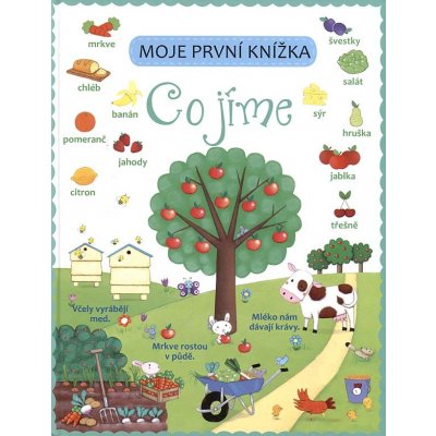 Co jíme - Moje první knížka