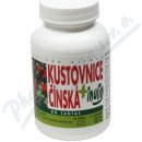 Naturvita Kustovnice čínská Inulín 90 tablet