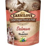 Carnilove Pouch Paté Salmon & Blueber Puppies 300 g – Zboží Dáma