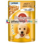 Pedigree Junior kuřecí 100 g – Hledejceny.cz