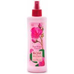 Biofresh růžová pleťová voda Rose 330 ml – Hledejceny.cz